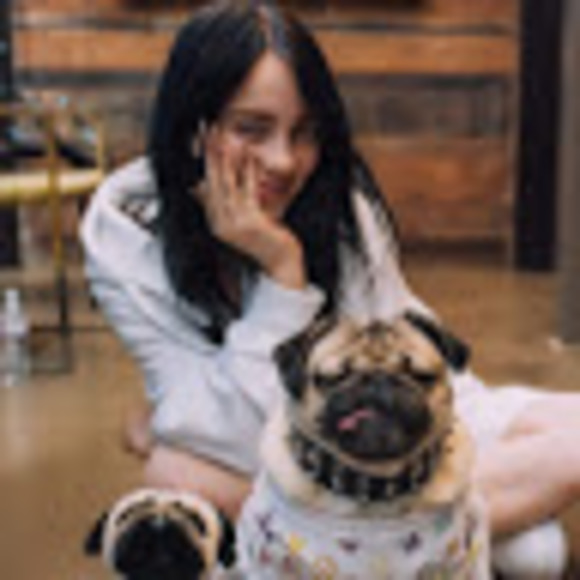 Meet your Posher, Coco - Picture 1 of 1